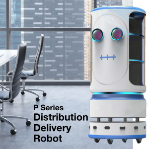 Distribution Delivery Robot P Series