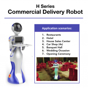 Commercial Delivery Robot H Series